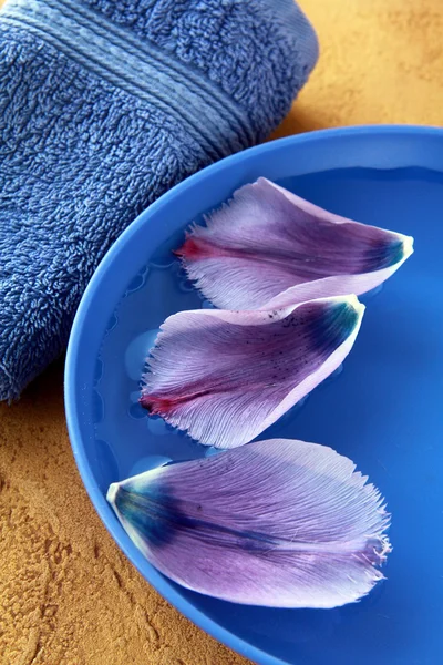 Fioletowe ręczniki i kwiat płatki spa koncept — Zdjęcie stockowe