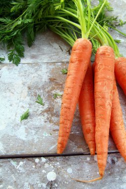 Fresh organic carrot with green leaves clipart