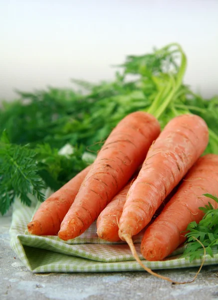 Свіжа органічна морква з зеленим листям — стокове фото