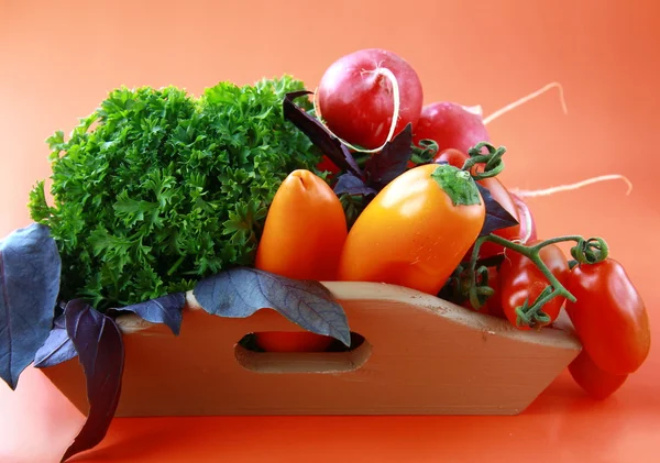 テーブルの上の別の新鮮な野菜 — ストック写真