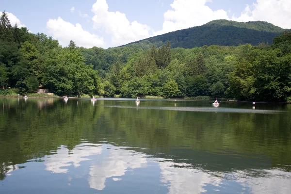 stock image Bear lake in transylvania