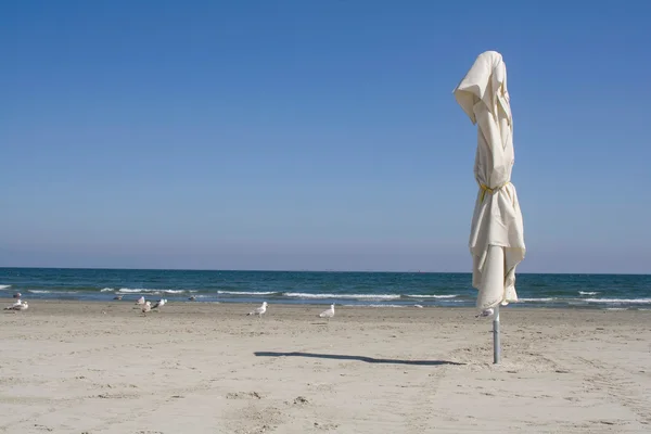 Parasole na plaży — Zdjęcie stockowe