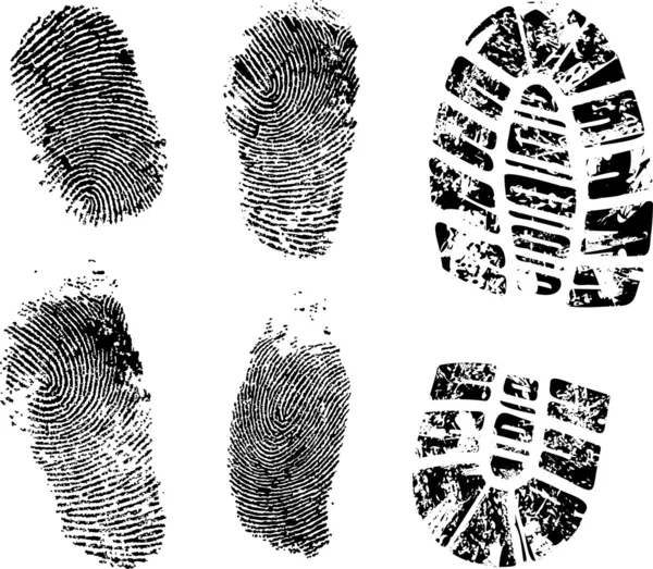 Fingerprints and bootprint — Stock Vector