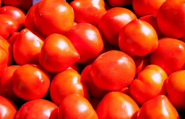빨간 토마토 — 스톡 사진