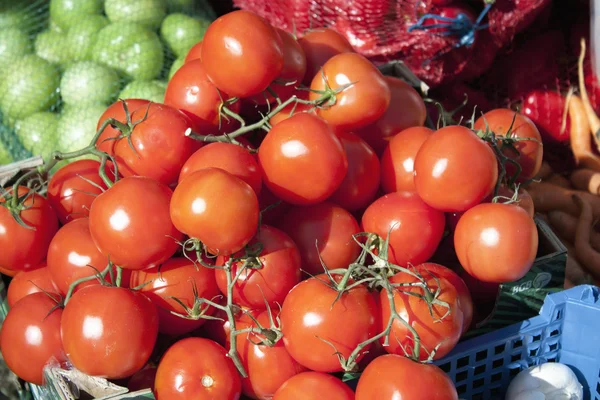 시장에서 토마토 — 스톡 사진