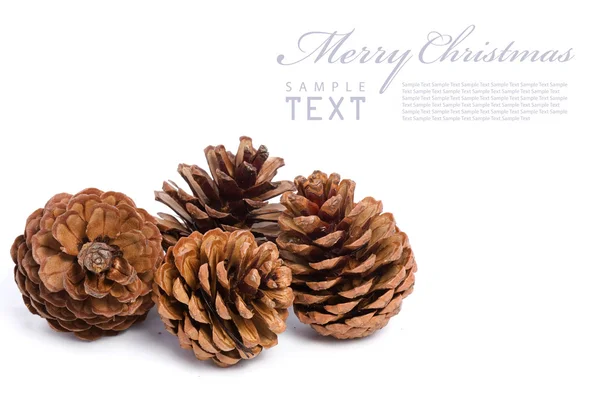 Cones de Natal em um fundo branco — Fotografia de Stock