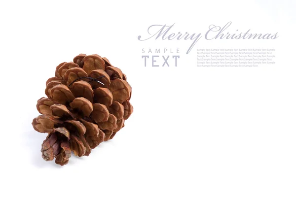 Cones de Natal em um fundo branco — Fotografia de Stock