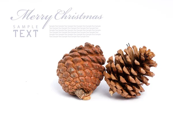 Christmas cones on a white background — Stock Photo, Image