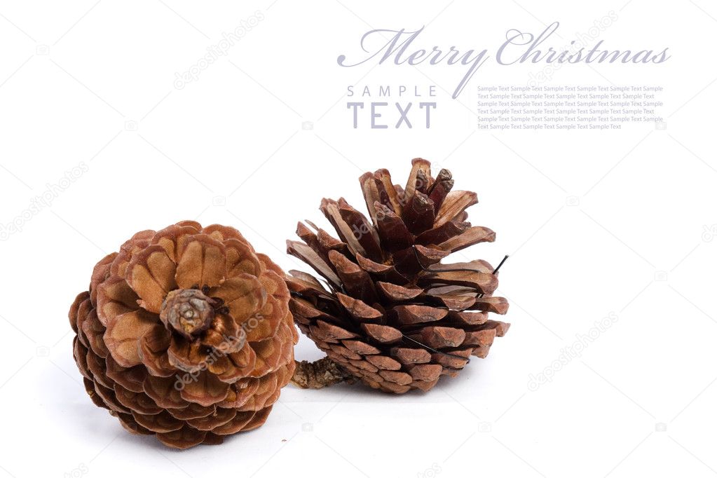 Christmas cones on a white background