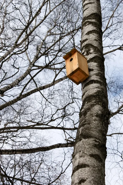 Birdhouse hanging on the trunk of a birch — Stock Photo, Image