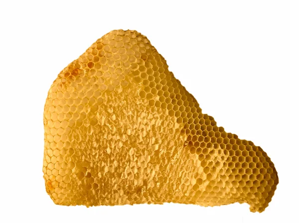 Медовые соты с медом изолированы — стоковое фото