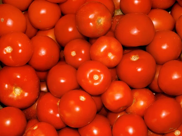 Mnoho zralých červených rajčat — Stock fotografie