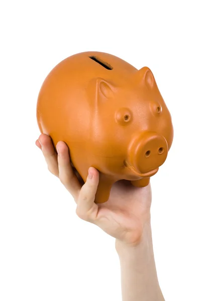 Male hand holding piggy bank — Stock Photo, Image