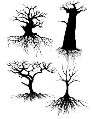 Four different Old tree Silhouettes with roots clipart
