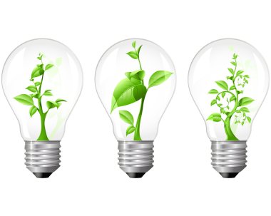 Light Bulb with sprout inside clipart