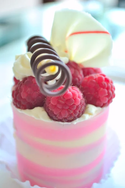 Rasрberry Cake — Stock Photo, Image