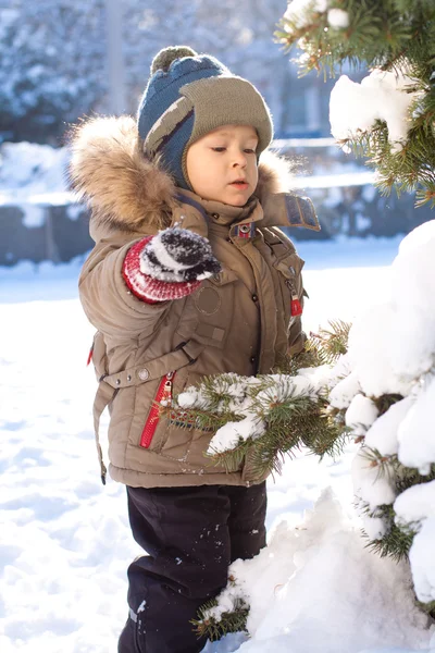 Küçük Bir Çocuk Kar — Stok fotoğraf