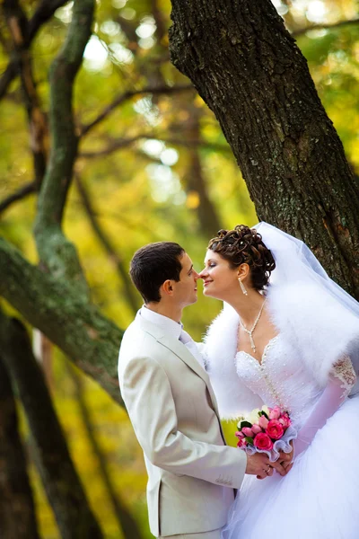 Casamento casal — Fotografia de Stock