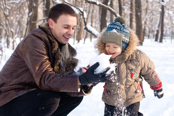 Батько і син веселилися в зимовий парк Ліцензійні Стокові Зображення