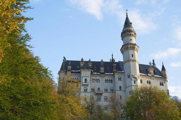 Château de Neuschwanstein dans les arbres — Photo