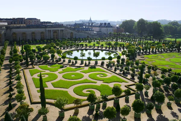 Jardín cuidadosamente cortado en Versalles — Foto de Stock