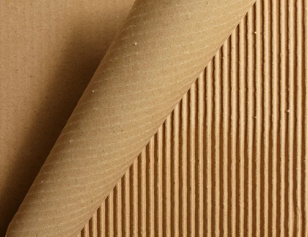 Curl peeling karton — Stock Fotó