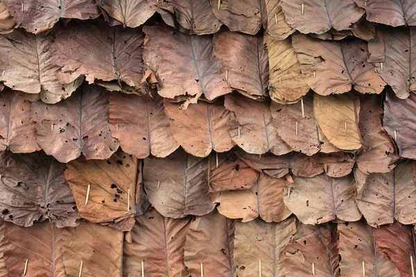 Dry teak leaf used as roof top, this is commonly found around su — Stock Photo, Image