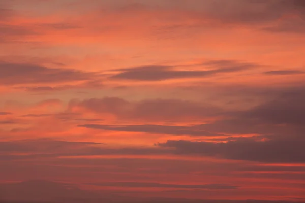 Розовое облако ранним утром — стоковое фото