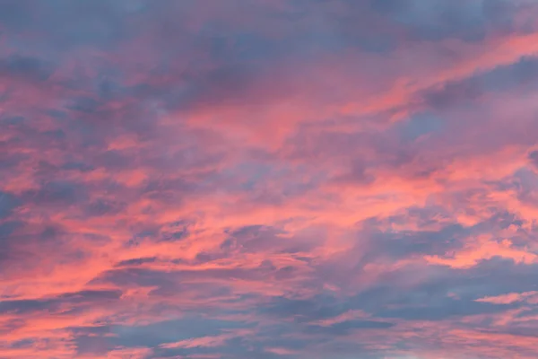 Nuvoloso rosa al mattino presto — Foto Stock