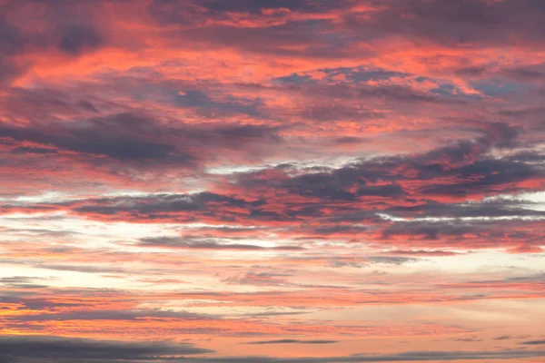 Roze cloudscape in de vroege ochtend — Stockfoto