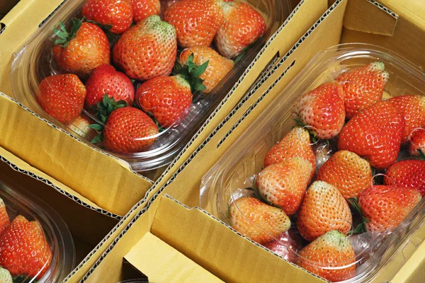 stock image Strawberry Package