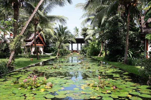 Lotus Zwembad Het Resort — Stockfoto