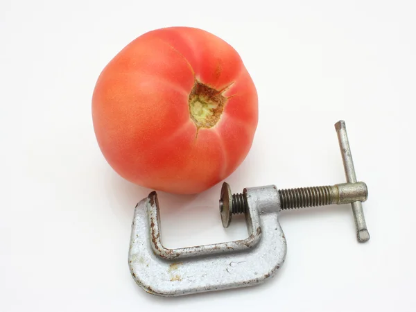 Tomato and clamp — Stock Photo, Image