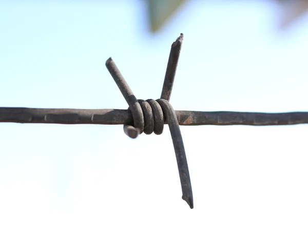 Drut kolczasty — Zdjęcie stockowe