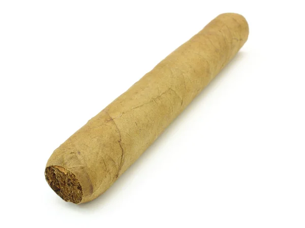 Большая кубинская сигара — стоковое фото