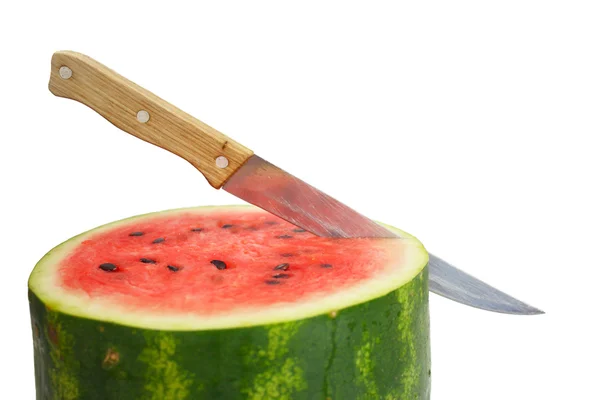 stock image Watermelon with dry stem