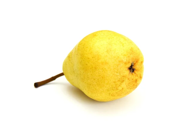 A single pear — Stock Photo, Image