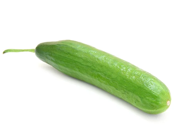 Färsk grön gurka — Stockfoto