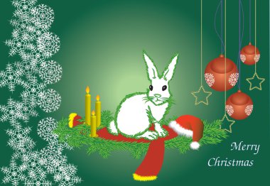 The white hare clipart