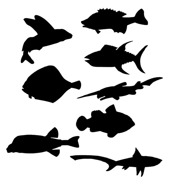 Fish silhouettes vector — Stock Vector