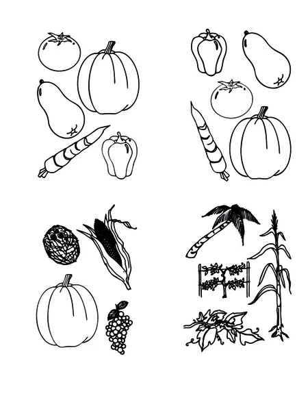 Vektor-Set - Doodles - Gemüse — Stockvektor