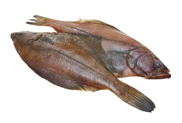 Quatro peixes de solha fresca — Fotografia de Stock