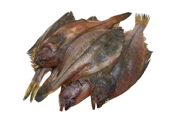 Fyra färska skrubbfiskar — Stockfoto