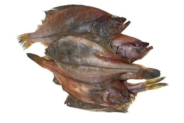 Cuatro peces de lenguado fresco —  Fotos de Stock