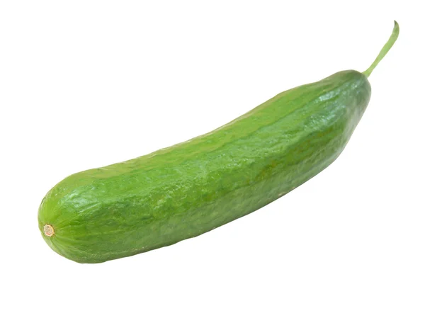 The fresh green cucumber — Stock Photo, Image