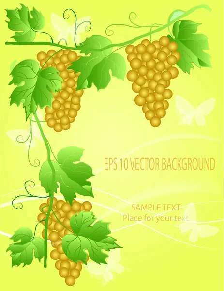 Ilustração decorativa da uva — Vetor de Stock