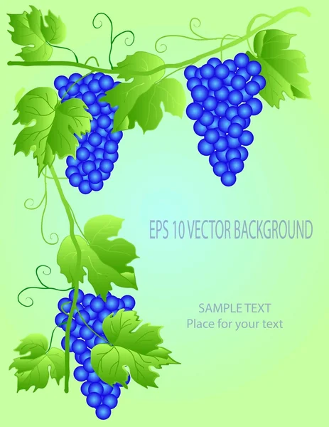 Met ruimte voor tekst het wijnstokras — Stockvector