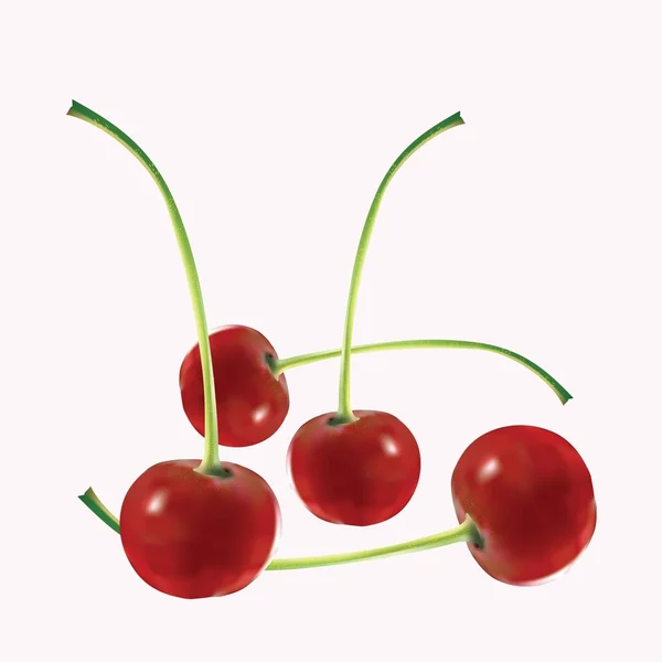 Quatro cerejas maduras apetitosas — Vetor de Stock