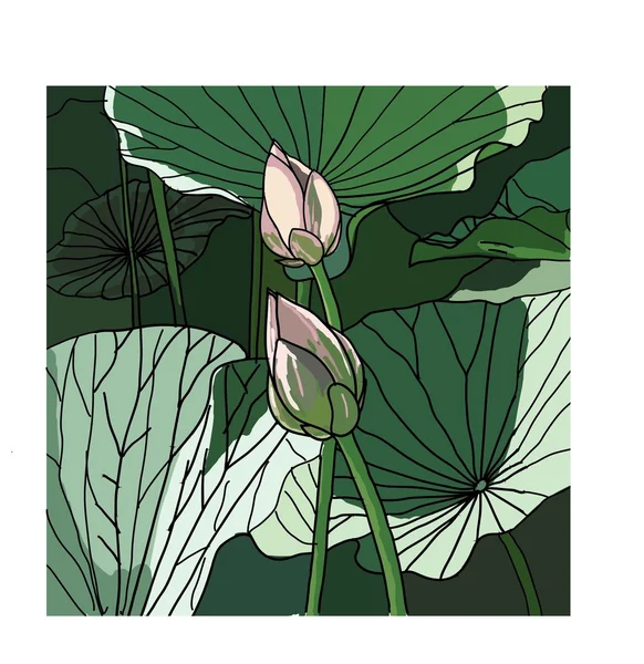 El loto realista oriental - la flor — Archivo Imágenes Vectoriales