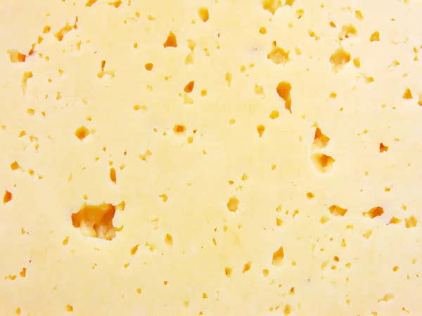구멍을 신선한 노란색 스위스 치즈의 — 스톡 사진